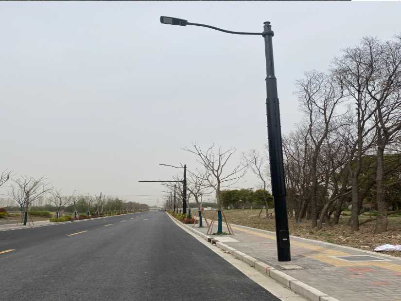 鱼峰区上海综合杆 太阳能路灯工程